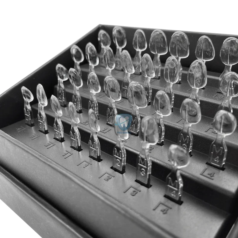 32 unids/set Kit de molde de c - Teeth Whitening Moulds reseña y precio